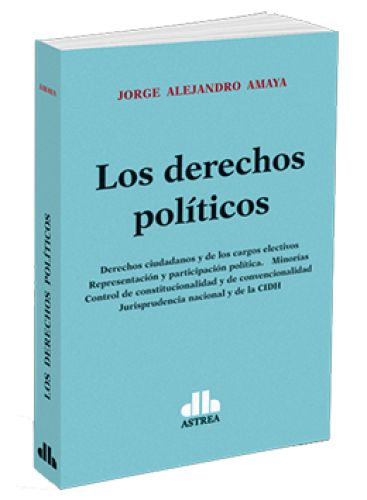 LOS DERECHOS POLÍTICOS..